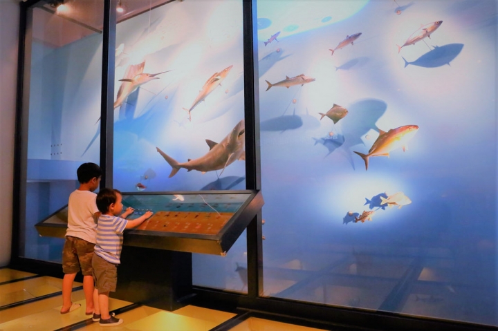 【景點】基隆海洋科技博物館親子遊樂指南