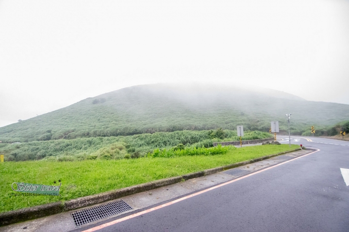 旅記 ▏【台北】擎天崗大草原-在大草原和小黑牛一起約會