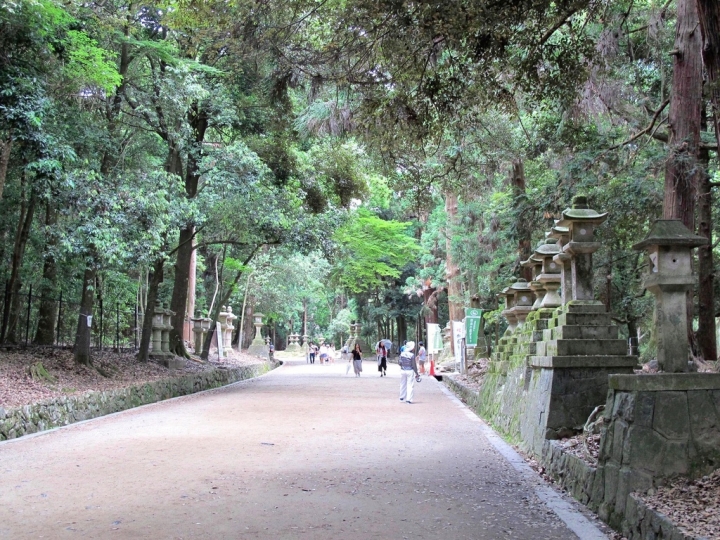 【Nara．走跳】春日大社萬燈籠群高高掛之奈良美食筆記