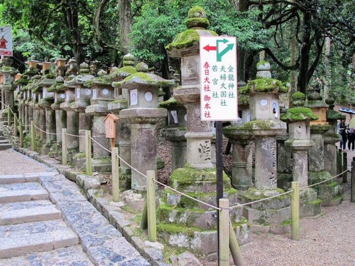 【Nara．走跳】春日大社萬燈籠群高高掛之奈良美食筆記