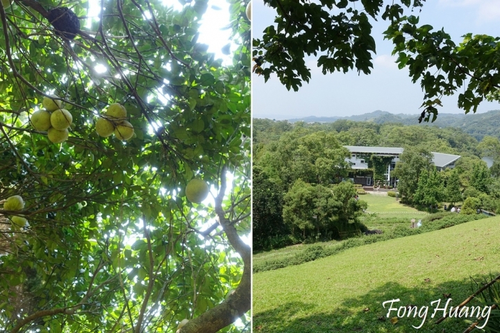 [苗栗] 兩天一夜員旅~薰衣草森林 ‧明德水庫旁 ‧旅人們的幸福森林 |苗栗客家文化園區 ‧點亮竹科銅鑼園區
