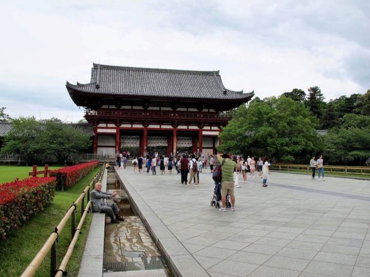 【Nara.走跳】奈良公園遇見小鹿斑比與東大寺朝聖奈良大佛