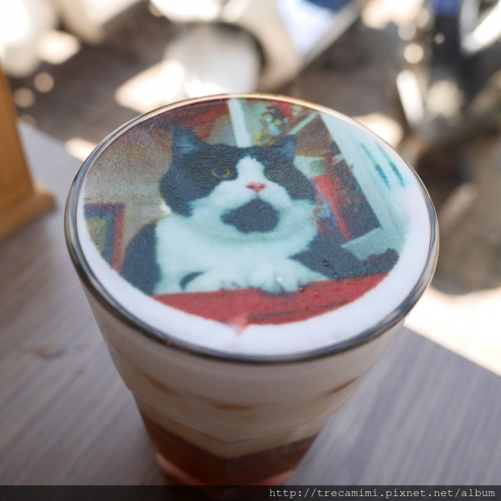 【食記】高雄Good Partner好夥伴咖啡(雙慈店)-必拍玫瑰花牆，吃完早午餐網紅換你當！南高雄最美寵物友善餐廳