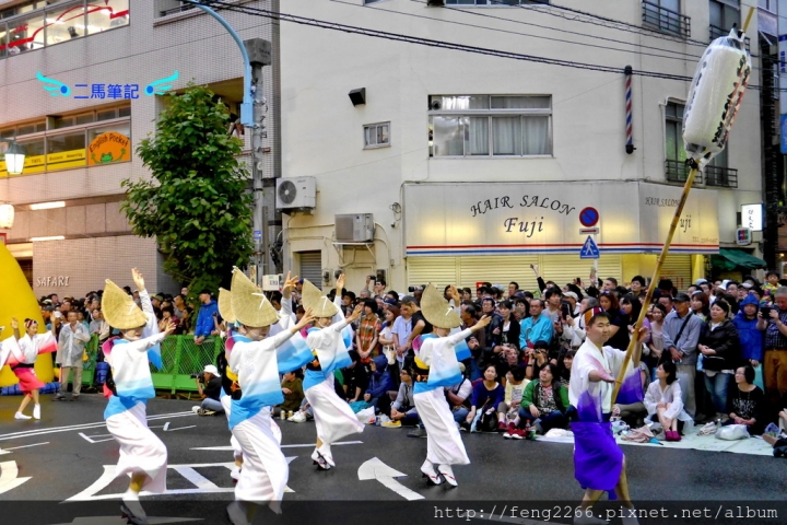 (東京八月祭典)高圓寺的傻瓜舞-阿波舞