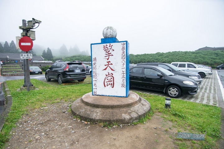 旅記 ▏【台北】擎天崗大草原-在大草原和小黑牛一起約會