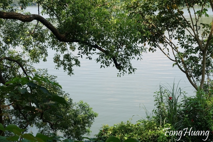 [苗栗] 兩天一夜員旅~薰衣草森林 ‧明德水庫旁 ‧旅人們的幸福森林 |苗栗客家文化園區 ‧點亮竹科銅鑼園區