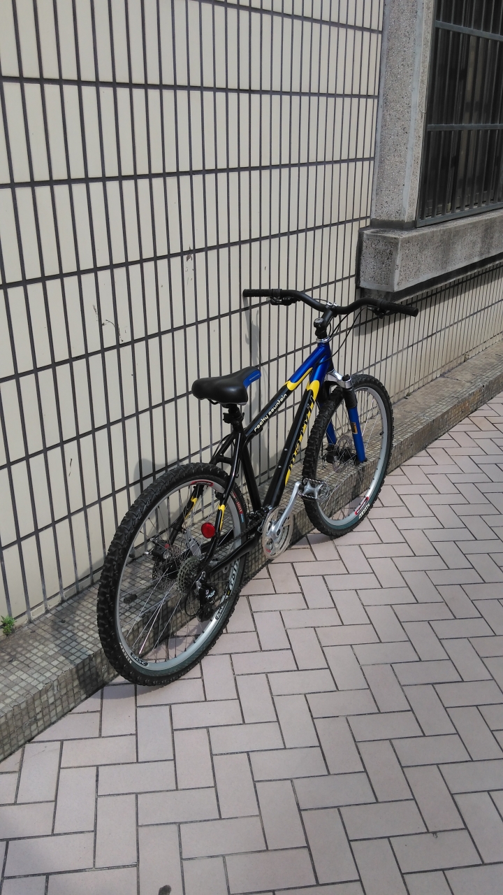 marvil rocky mountain 山地車