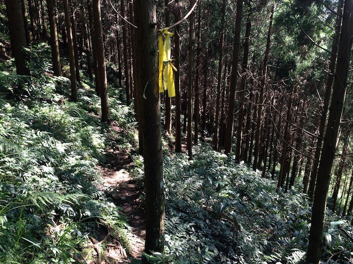 中級山 鵝公髻山 第二登山口起登