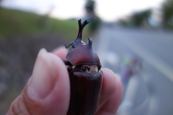 2017年七月，盛夏，宜蘭不落92，