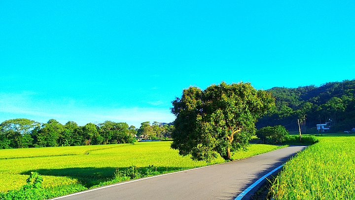 小米MAX2隨手拍蓋大樓
