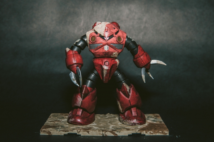 愛玩泥巴的紅蟹 MSM-07S 夏亞專用茲寇克 HG BANDAI