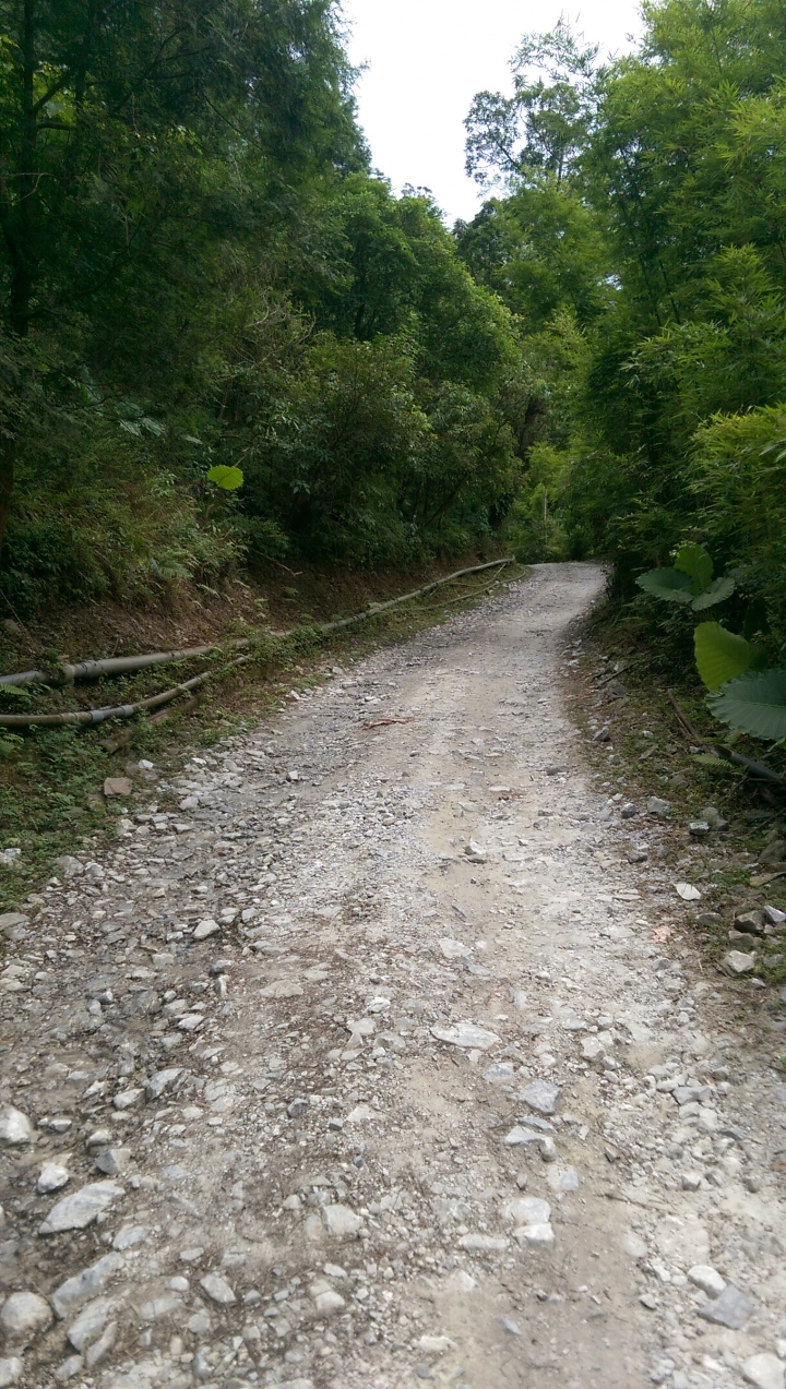 ★那些Bikepacking的日子★ - 武荖坑林道+東澳國小