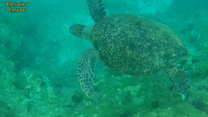 [分享] SJCAM/GoPro周邊配件_浮力棒插水實測Review(GoPole Bobber)