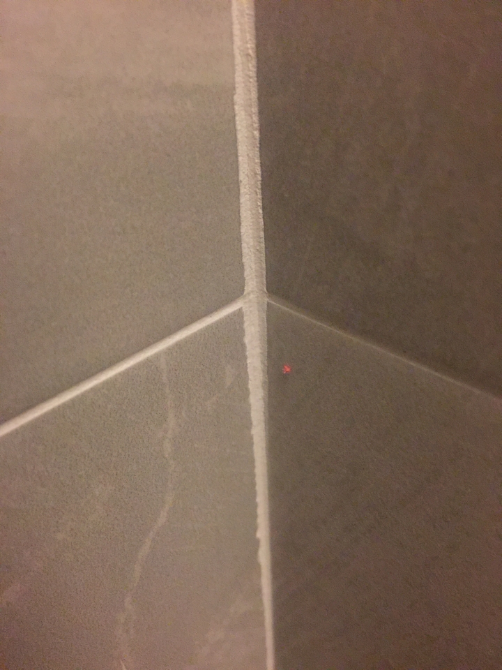 新裝潢好的浴室出現莫名紅點該如何處理？