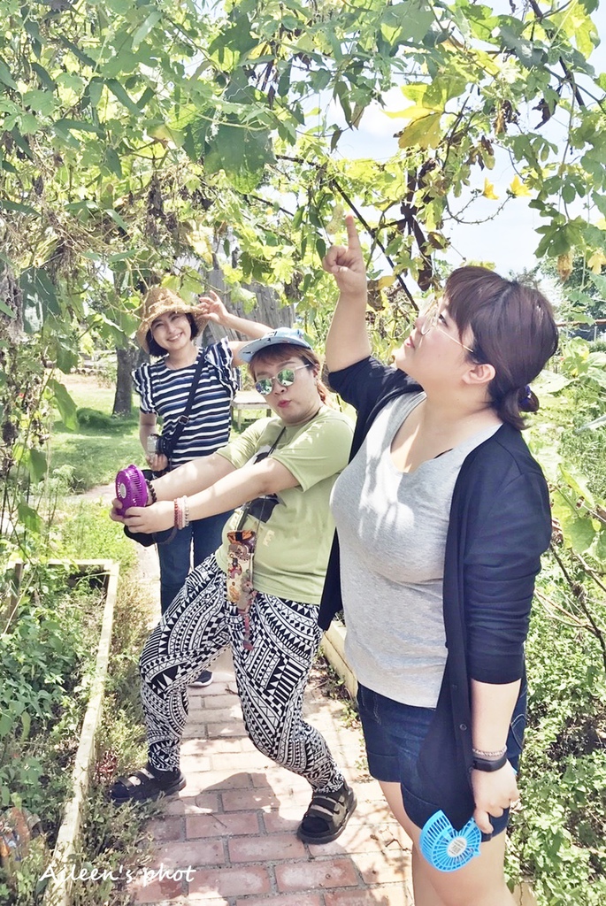 [台南] 農村好好玩~文青、網美必訪的IG打卡點『優雅農夫藝文農場』