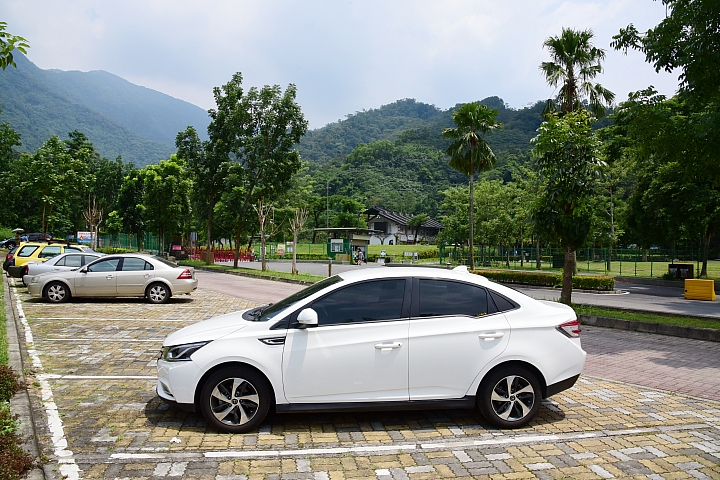 沒想到會開著Luxgen S3趕鵝群安全回到家，作善事！