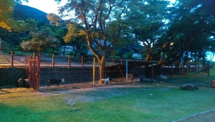 ★那些Bikepacking的日子★ - 武荖坑林道+東澳國小