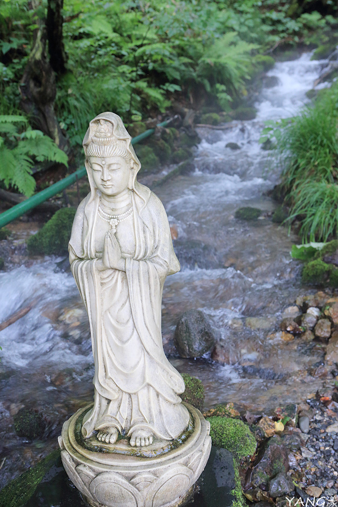 【青森】夏遊白神十二湖,漫步翠綠山毛櫸林,賞藍寶石般美麗青池
