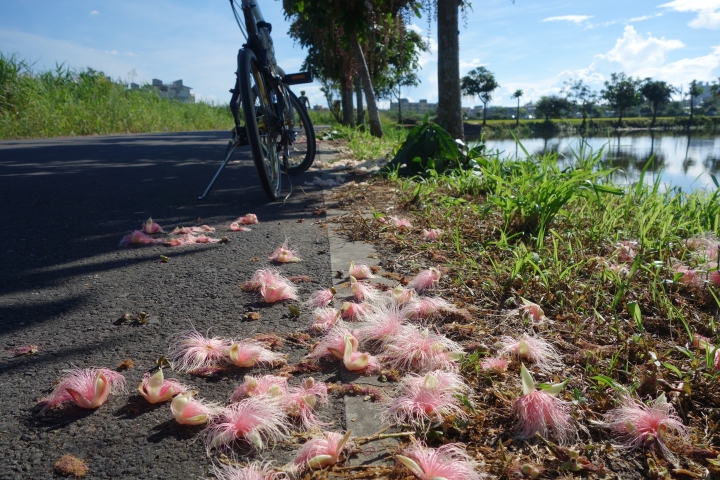 2017年七月，盛夏，宜蘭不落92，
