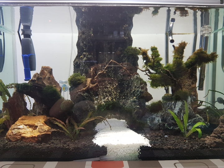 3尺水槽缸麻煩各位前輩健檢