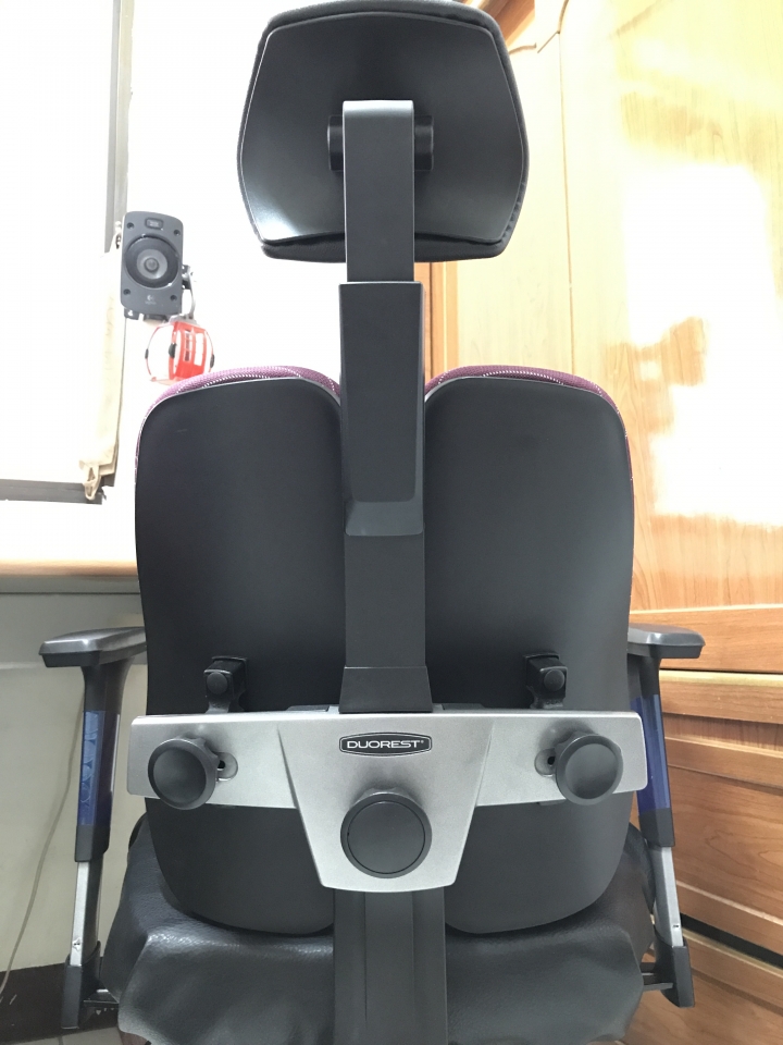 人體工學椅 DUOREST   DT Alpha-30H  (天然乳膠版本) 開箱文