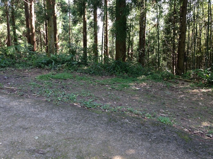 中級山 鵝公髻山 第二登山口起登