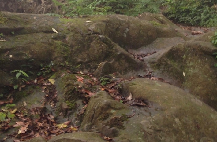中級山 鵝公髻山 第二登山口起登