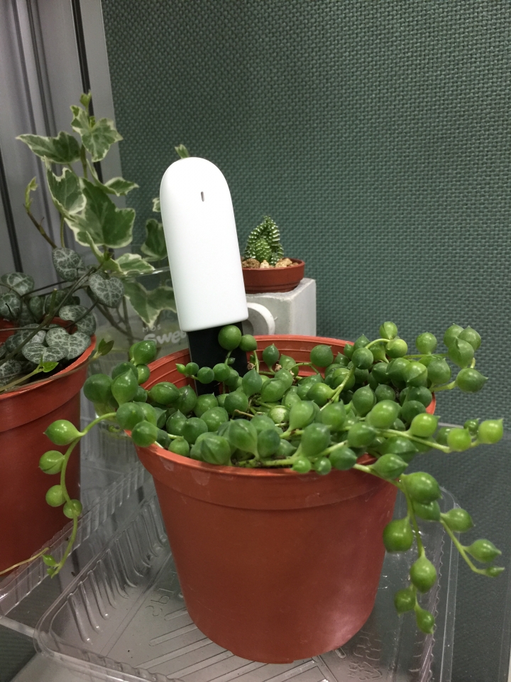 小米花花草草監測儀(對岸版) iphone安裝成功