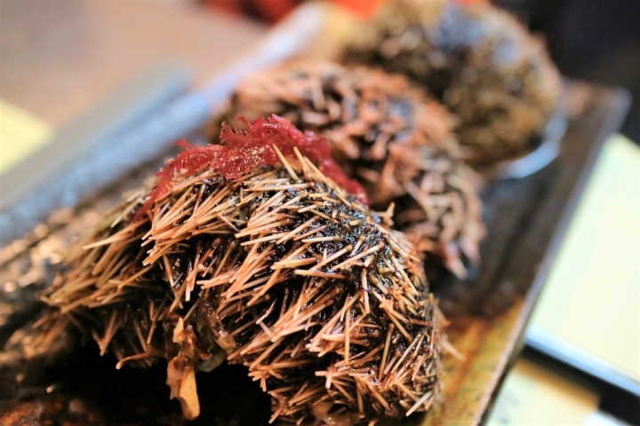 《南港船屋》野生海釣幸福味，崁仔頂新鮮的生魚片 (內含餐廳資訊)