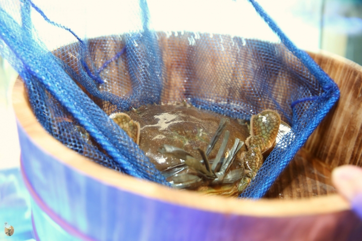 [桃園]中壢和熹精緻鍋物  by蛋拔