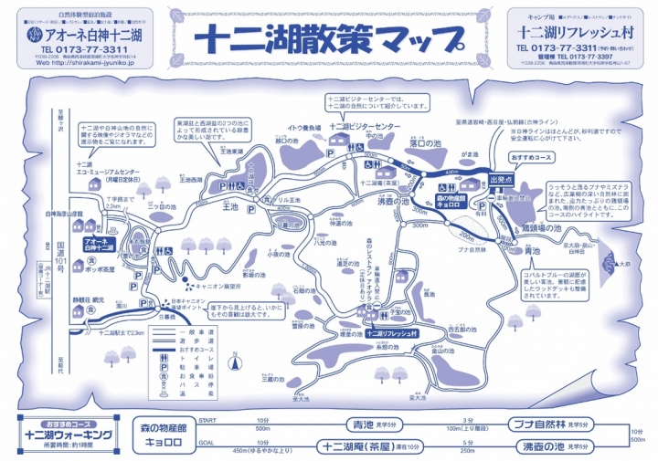 【青森】夏遊白神十二湖，漫步翠綠山毛櫸林，賞藍寶石般美麗青池