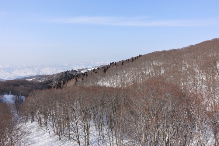 ＜日本＞2017全家人的日本行DAY3~(PART II)野澤溫泉滑滑雪