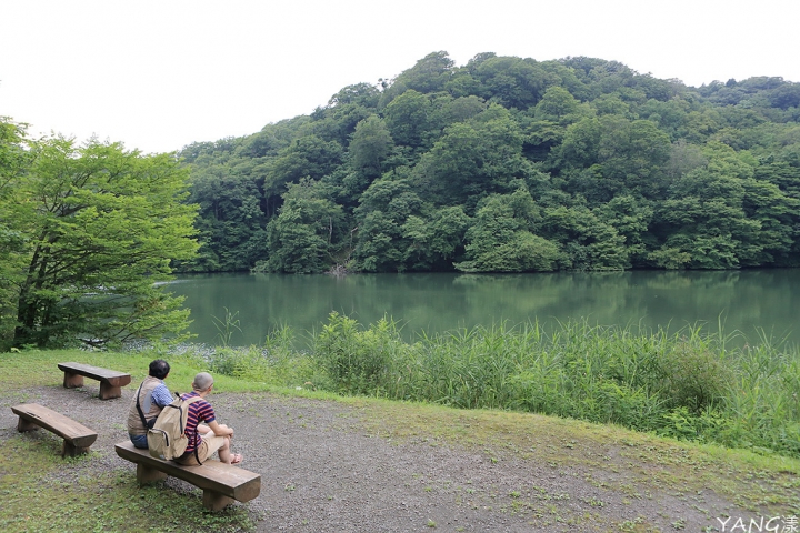 【青森】夏遊白神十二湖，漫步翠綠山毛櫸林，賞藍寶石般美麗青池