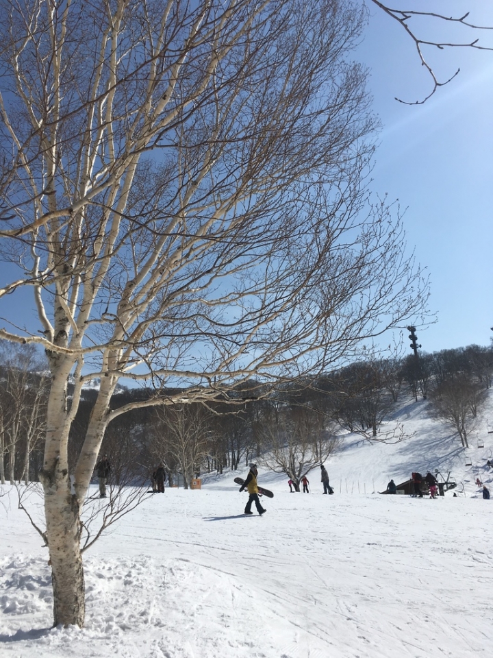 ＜日本＞2017全家人的日本行DAY3~(PART II)野澤溫泉滑滑雪