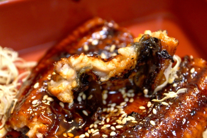 [台南][東區] 東洋まぐろ日式定食。超低溫生魚片