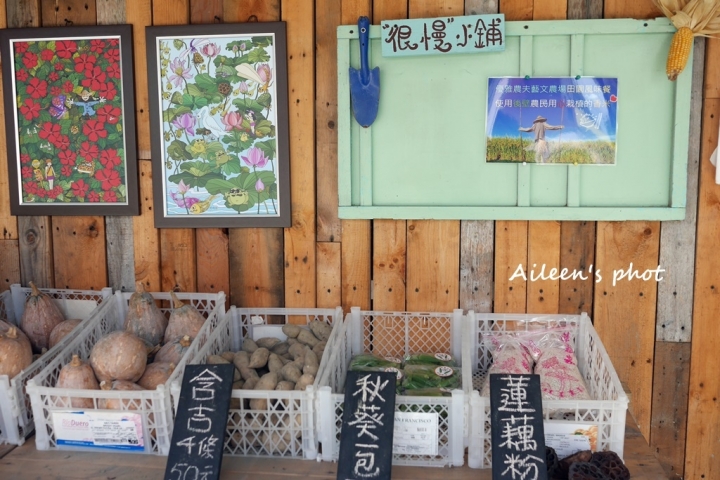 [台南] 農村好好玩~文青、網美必訪的IG打卡點『優雅農夫藝文農場』