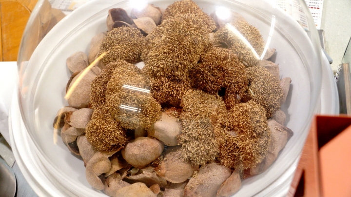 [台南][北區] 芋豆賞（北園店）