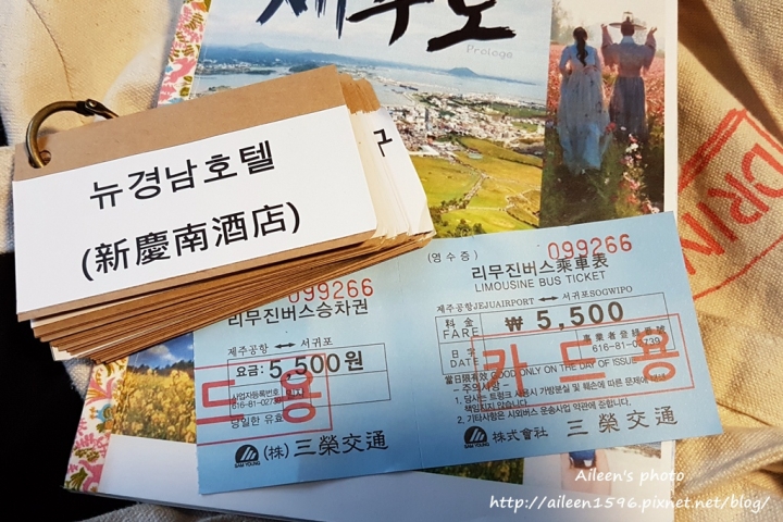 [濟州島] 玩翻濟州島放空之旅,行程規劃(懶人包)