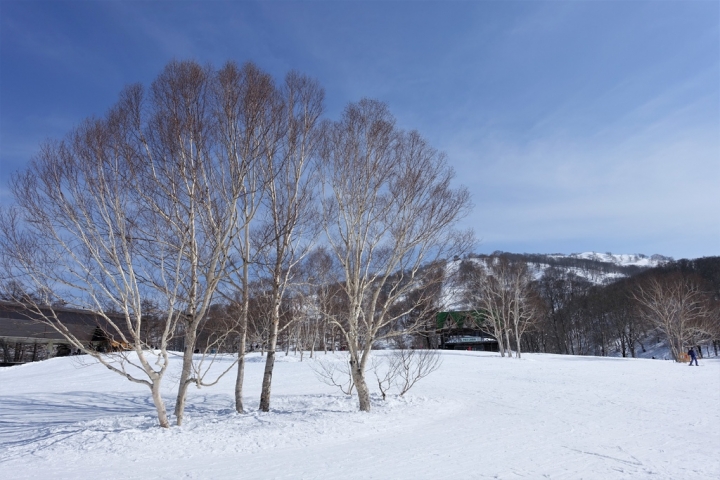 ＜日本＞2017全家人的日本行DAY3~(PART II)野澤溫泉滑滑雪
