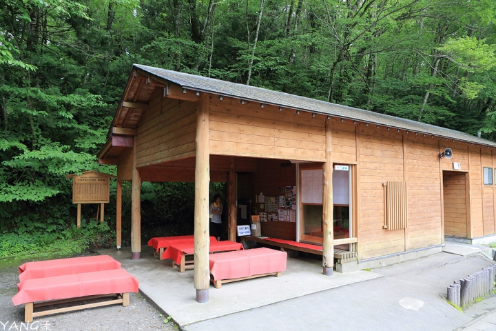 【青森】夏遊白神十二湖，漫步翠綠山毛櫸林，賞藍寶石般美麗青池