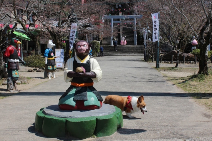 【日本，8200公里的流浪】06 # 愛知·犬山祭