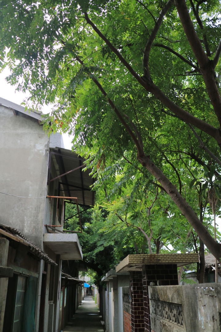 捉住夏天的尾巴，西部海線清旅行