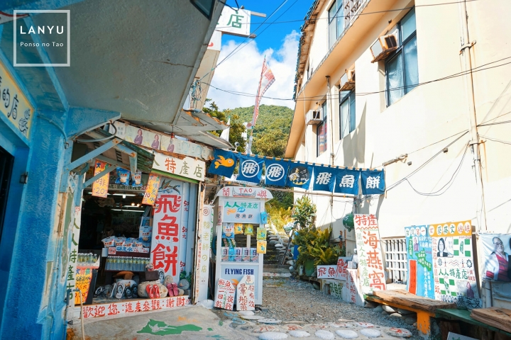 【作品】無可救藥的愛上 _ 蘭嶼 (文長圖多)