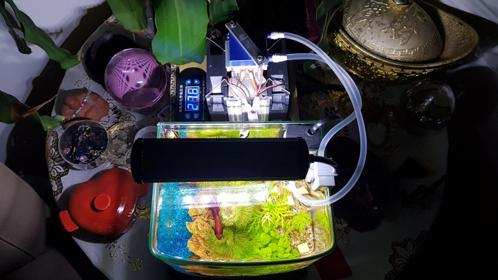 [水族請教] 半導體致冷 VS 加熱棒 ?
