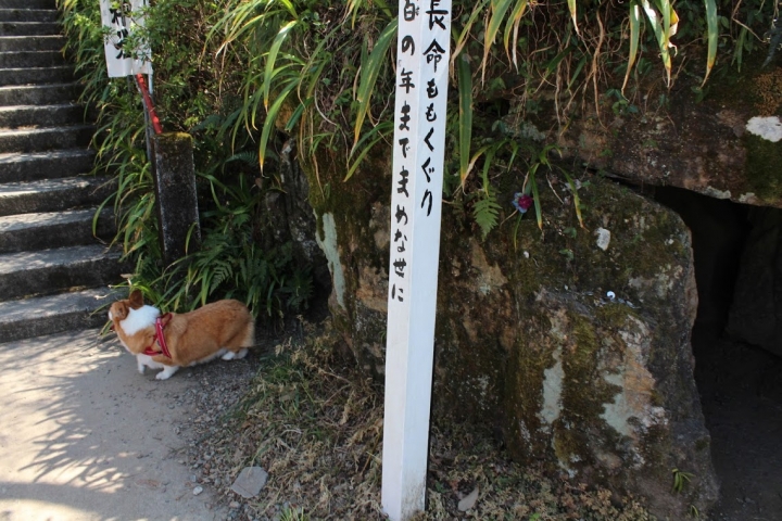 【日本，8200公里的流浪】06 # 愛知·犬山祭