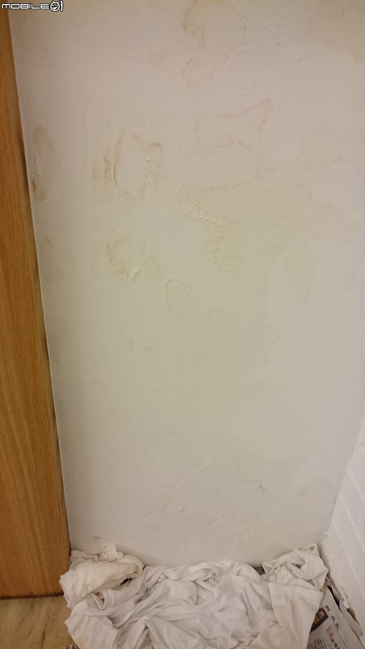 公共管道間漏水問題 還請mobile 大神賜教解決方式