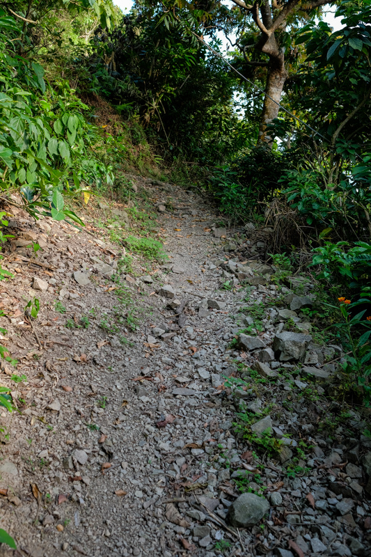 [遊記] 蘭嶼四天三夜 (東清灣 青青草原 祈禱山 拼板舟 日出日落.......)