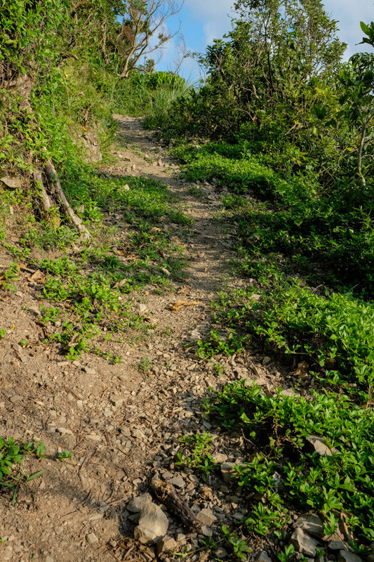 [遊記] 蘭嶼四天三夜 (東清灣 青青草原 祈禱山 拼板舟 日出日落.......)