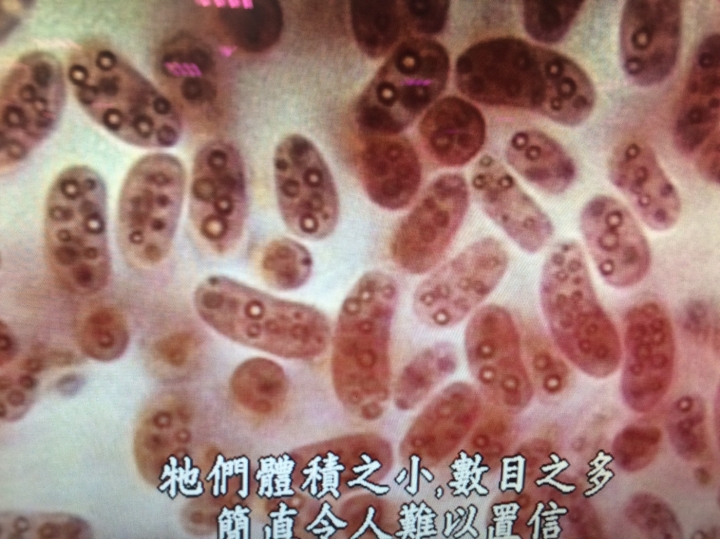 了解攝影