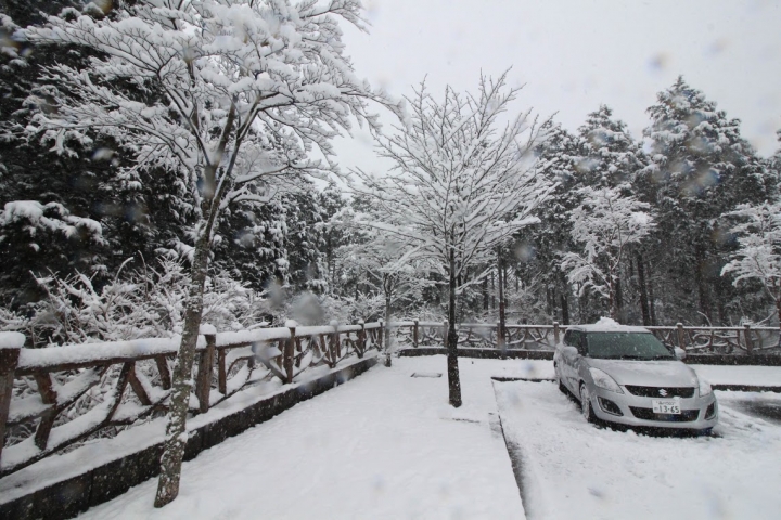 【日本，8200公里的流浪】02 # 箱根之雪